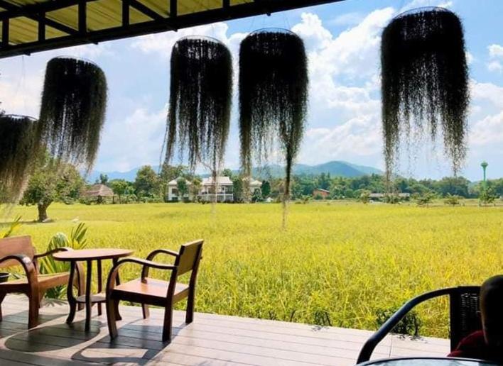 Oon Valley Farm Stay San Kamphaeng Dış mekan fotoğraf