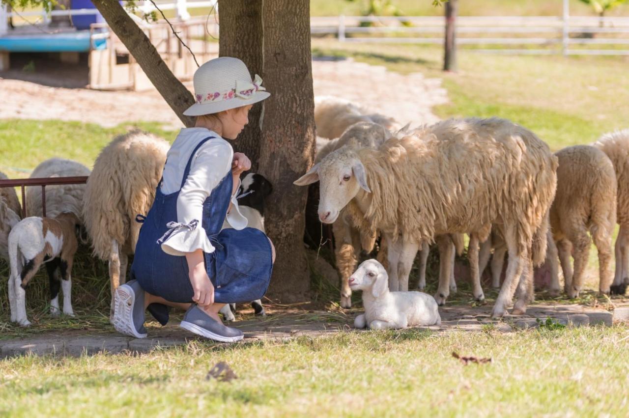 Oon Valley Farm Stay San Kamphaeng Dış mekan fotoğraf